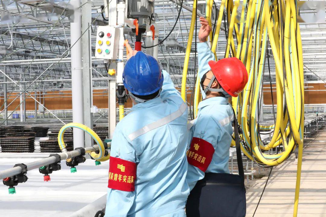 草海機場(chǎng)最新動(dòng)態(tài)揭秘，建設進(jìn)展、航班信息及未來(lái)展望