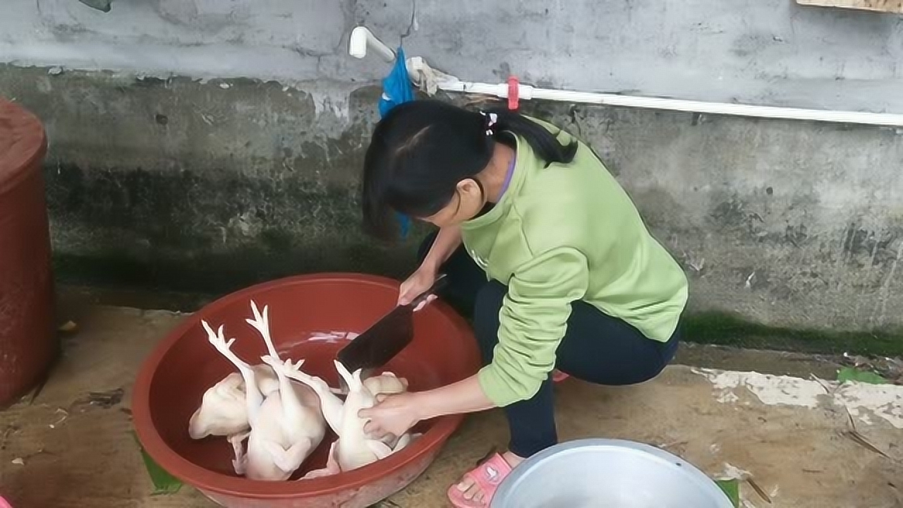 關(guān)于阿梅殺雞視頻的理性分析與網(wǎng)絡(luò )倫理道德探討，警惕涉黃內容侵蝕社會(huì )倫理底線(xiàn)。