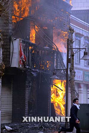 西藏最新事件，雪域高原的溫馨日常觀(guān)察