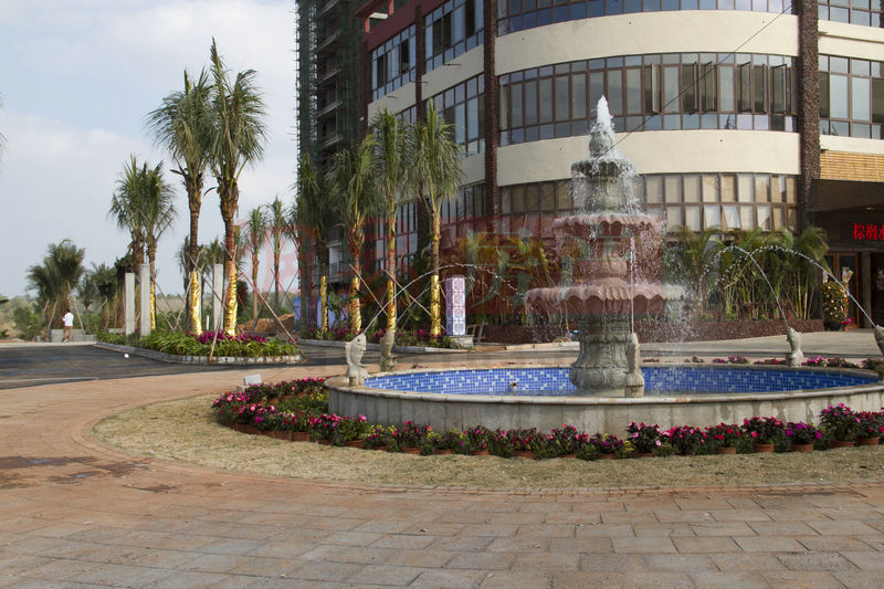 棕櫚水城最新動(dòng)態(tài)，塑造理想生活新標桿！