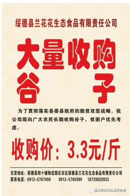 淄川最新財務(wù)招聘，職業(yè)發(fā)展的理想選擇