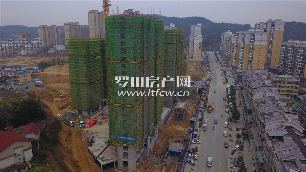 羅田最新房?jì)r(jià)揭秘，洞悉市場(chǎng)動(dòng)態(tài)，掌握房?jì)r(jià)走勢！