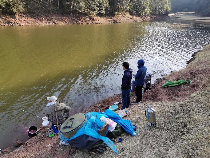 最新水庫釣魚(yú)視頻，探索釣魚(yú)樂(lè )趣與技巧全攻略