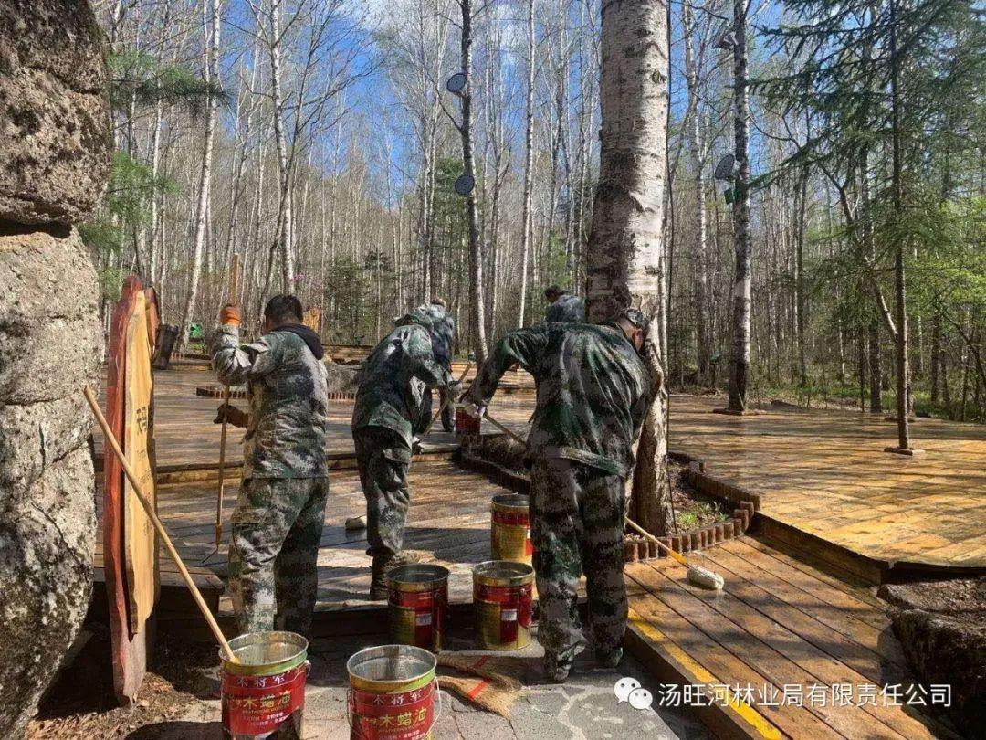 探尋神秘寶石世界的獨特魅力，最新奇石新聞報道