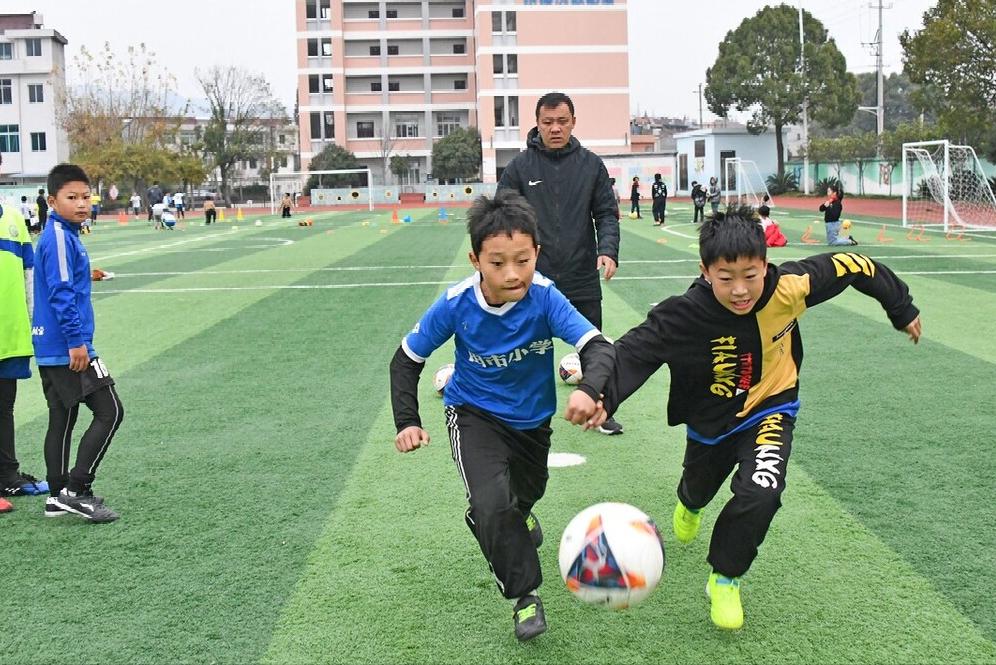 蕭縣最新招標信息解析與動(dòng)態(tài)速遞