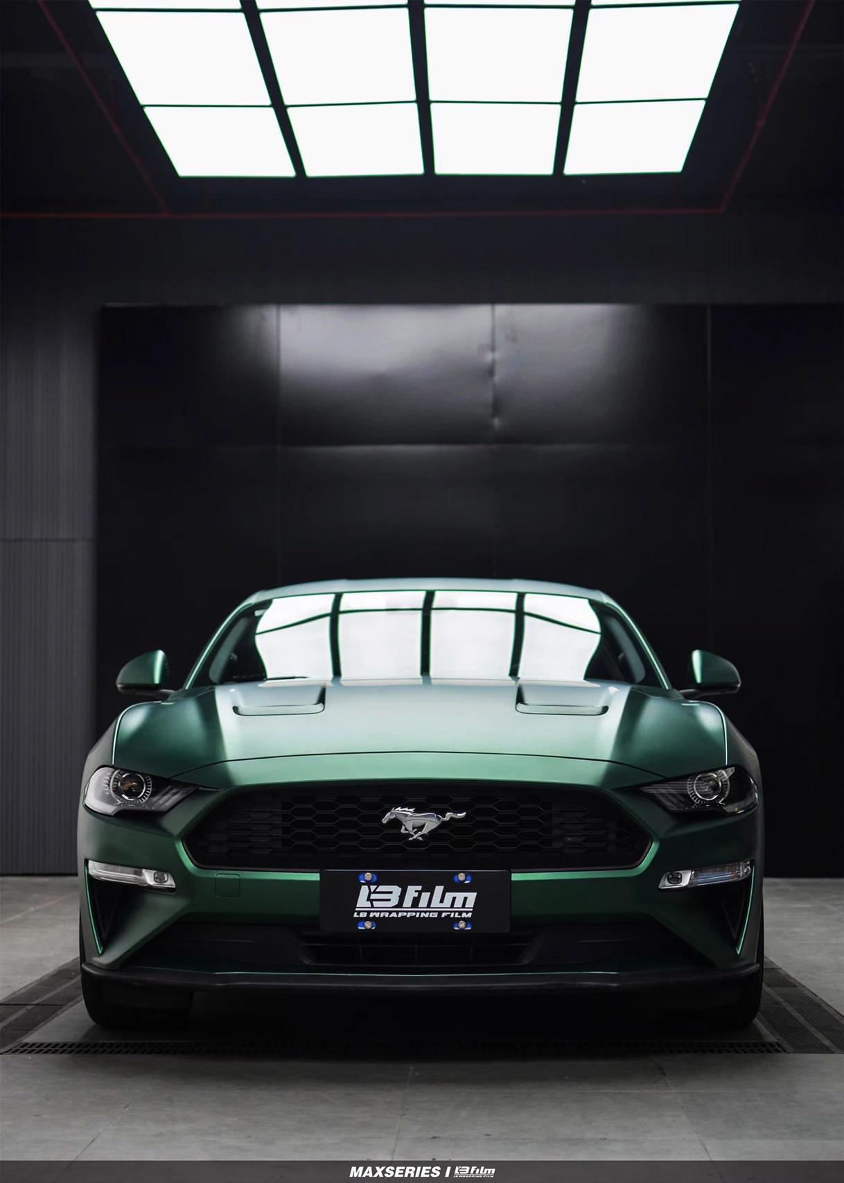 最新野馬汽車(chē)，技術(shù)革新與市場(chǎng)競爭的展現