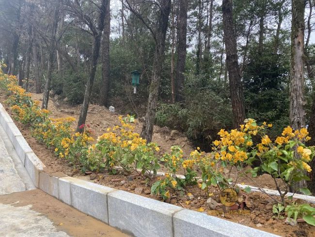 桂平手工，傳統與創(chuàng  )新的完美交融