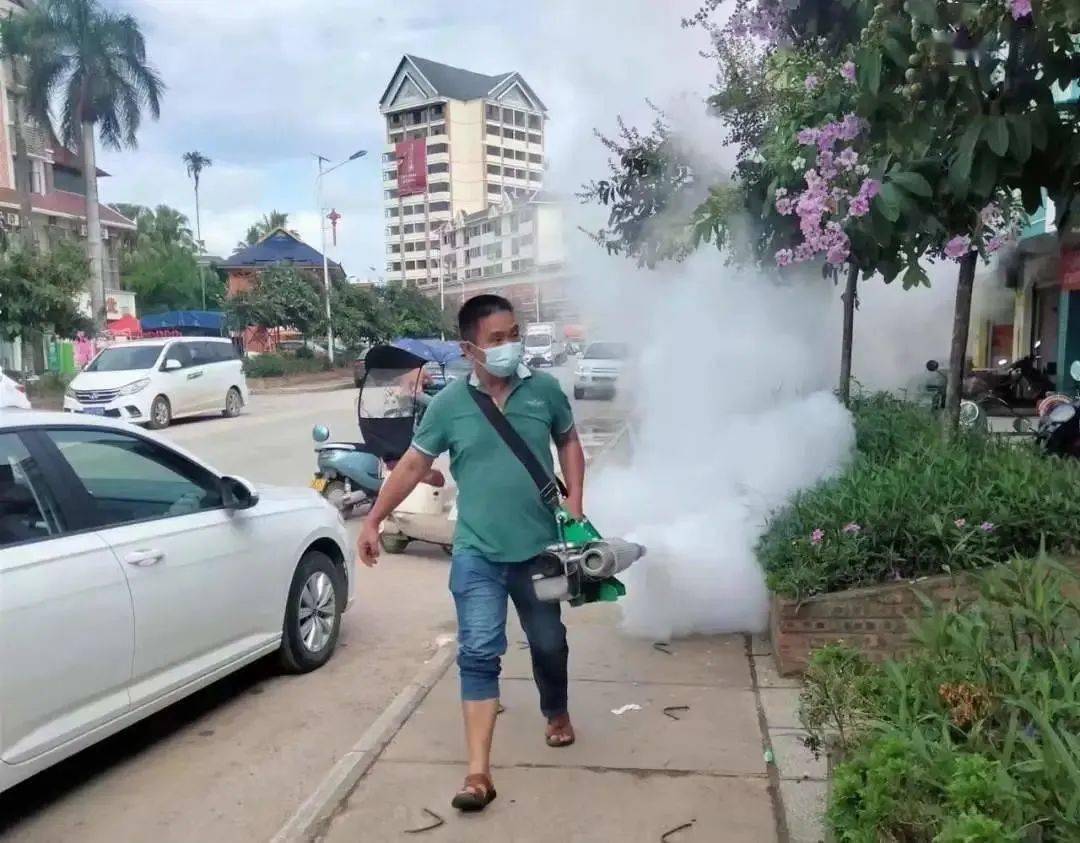 景洪登革熱最新疫情動(dòng)態(tài)，挑戰與自信之光的博弈