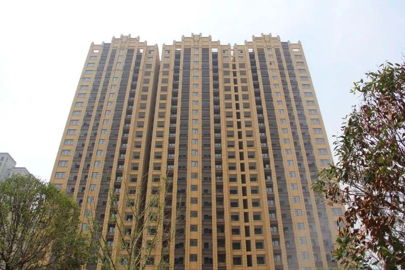 紫荊城邦最新動(dòng)態(tài)，揭開(kāi)未來(lái)生活新篇章的序幕