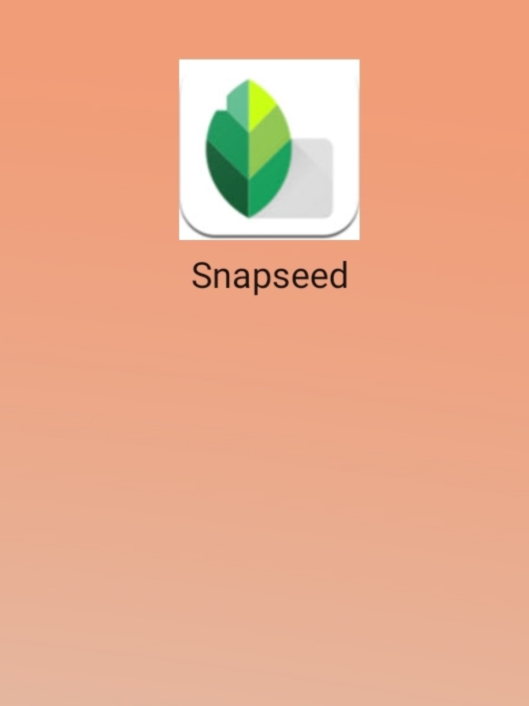 最新snapseed中文版，科技重塑影像，讓生活因攝影更精彩