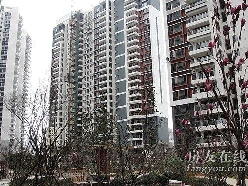 綠地長(cháng)島公寓最新價(jià)格揭秘，小巷深處的隱藏寶藏