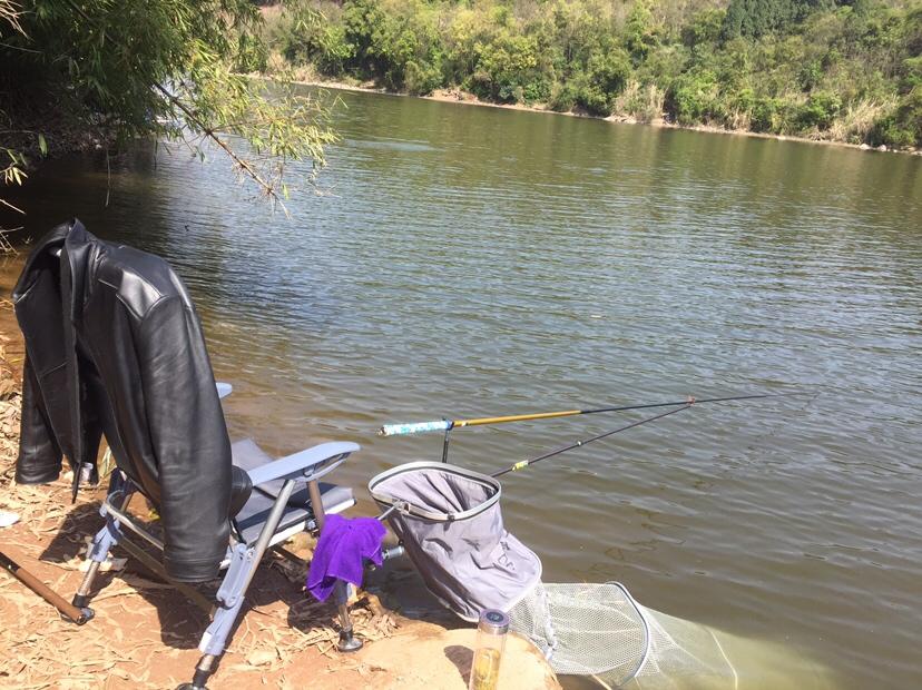 山門(mén)寺水庫釣魚(yú)最新指南，垂釣攻略與技巧分享