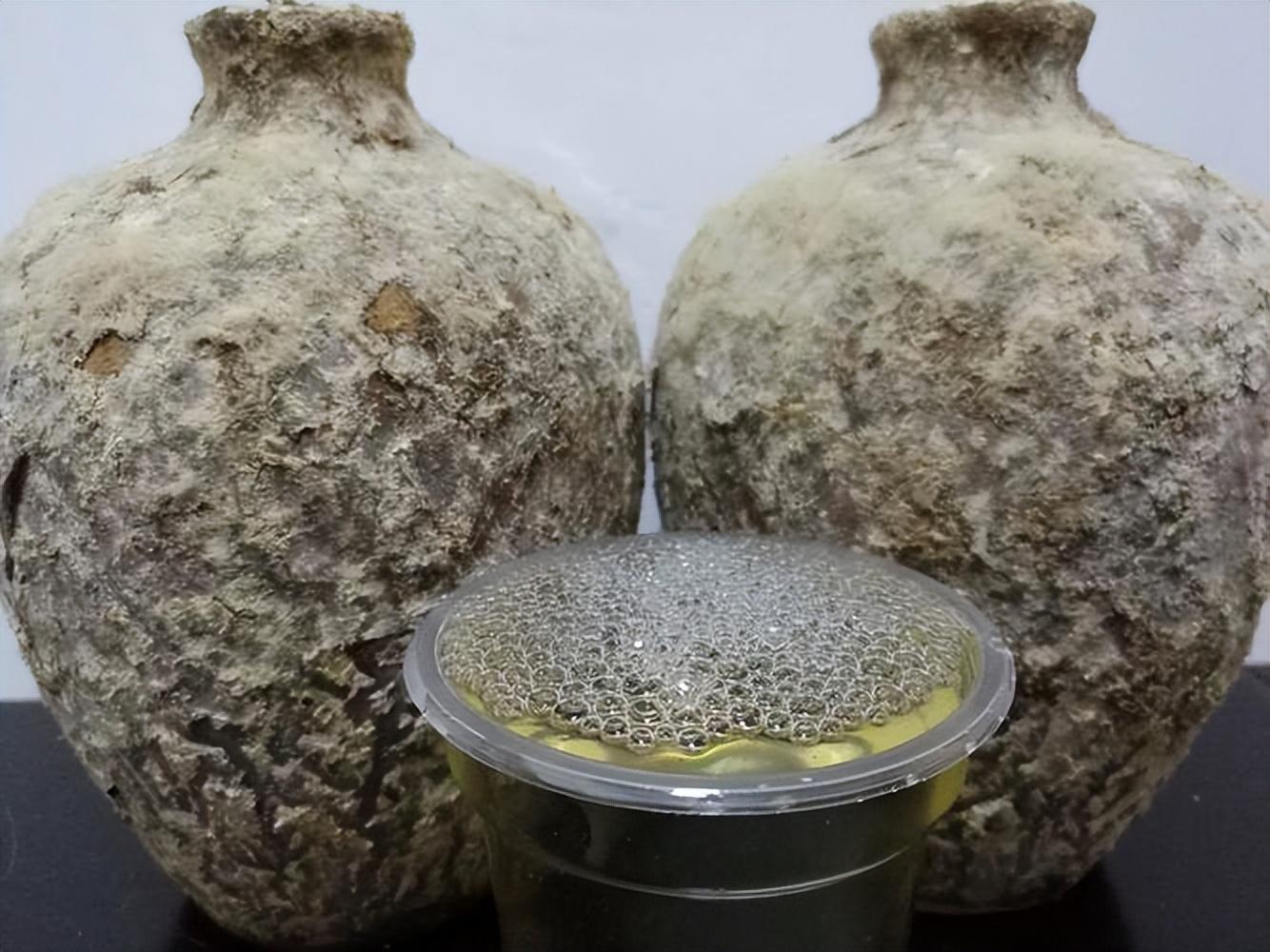 仁懷房屋出售最新信息，科技與家居融合，未來(lái)家居新體驗重磅推出