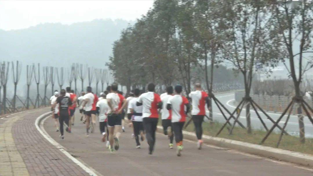 古田環(huán)湖路最新動(dòng)態(tài)揭秘，時(shí)代脈搏與城市發(fā)展的融合之路