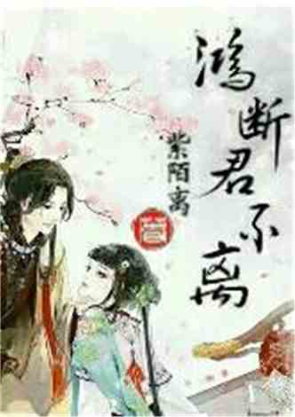 沈南汐最新小說(shuō)，知識的力量，成就夢(mèng)想的翅膀之路