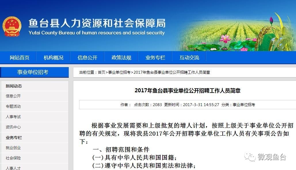 魚(yú)臺最新招聘信息大全，求職步驟指南與招聘信息更新速遞