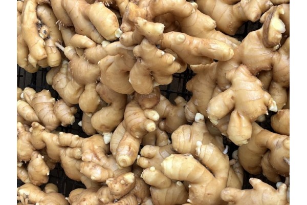 昌邑生姜市場(chǎng)最新價(jià)格指南，全面了解生姜市場(chǎng)行情與價(jià)格動(dòng)態(tài)