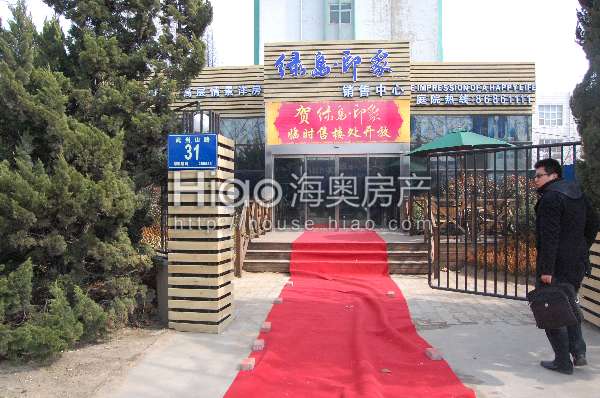 青島大洋花園最新動(dòng)態(tài)，科技重塑未來(lái)花園的極致體驗