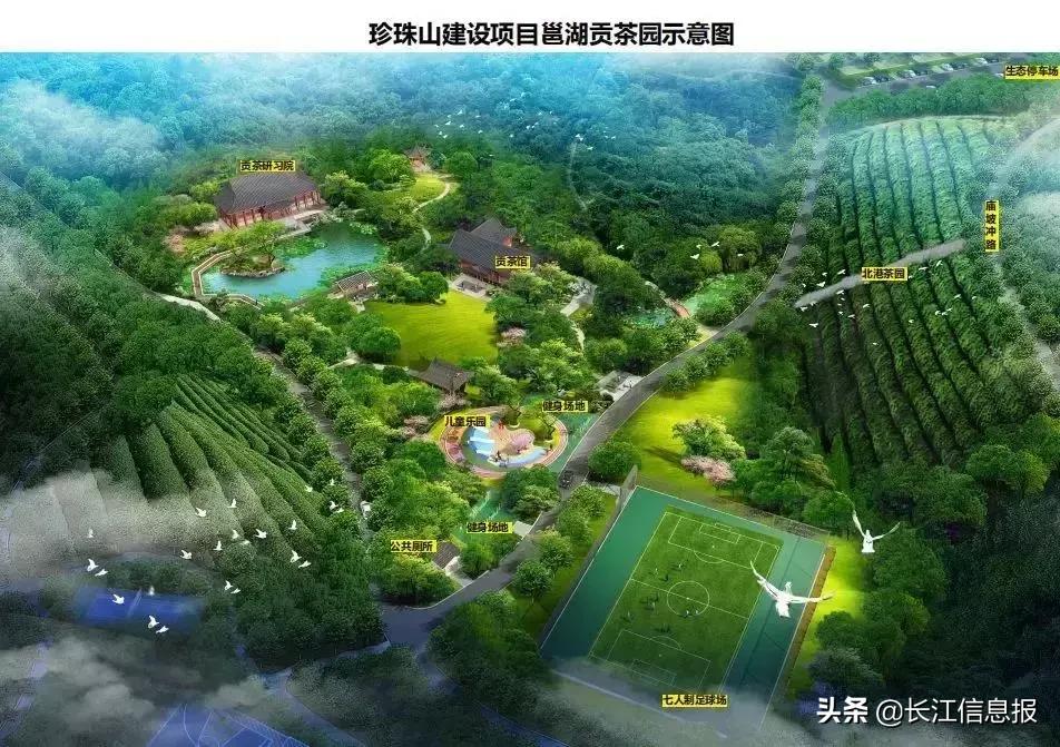 岳陽(yáng)北港小學(xué)最新動(dòng)態(tài)揭秘，校園新聞與活動(dòng)更新