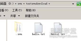 Jav最新網(wǎng)址探索，小巷深處的獨特風(fēng)味之旅