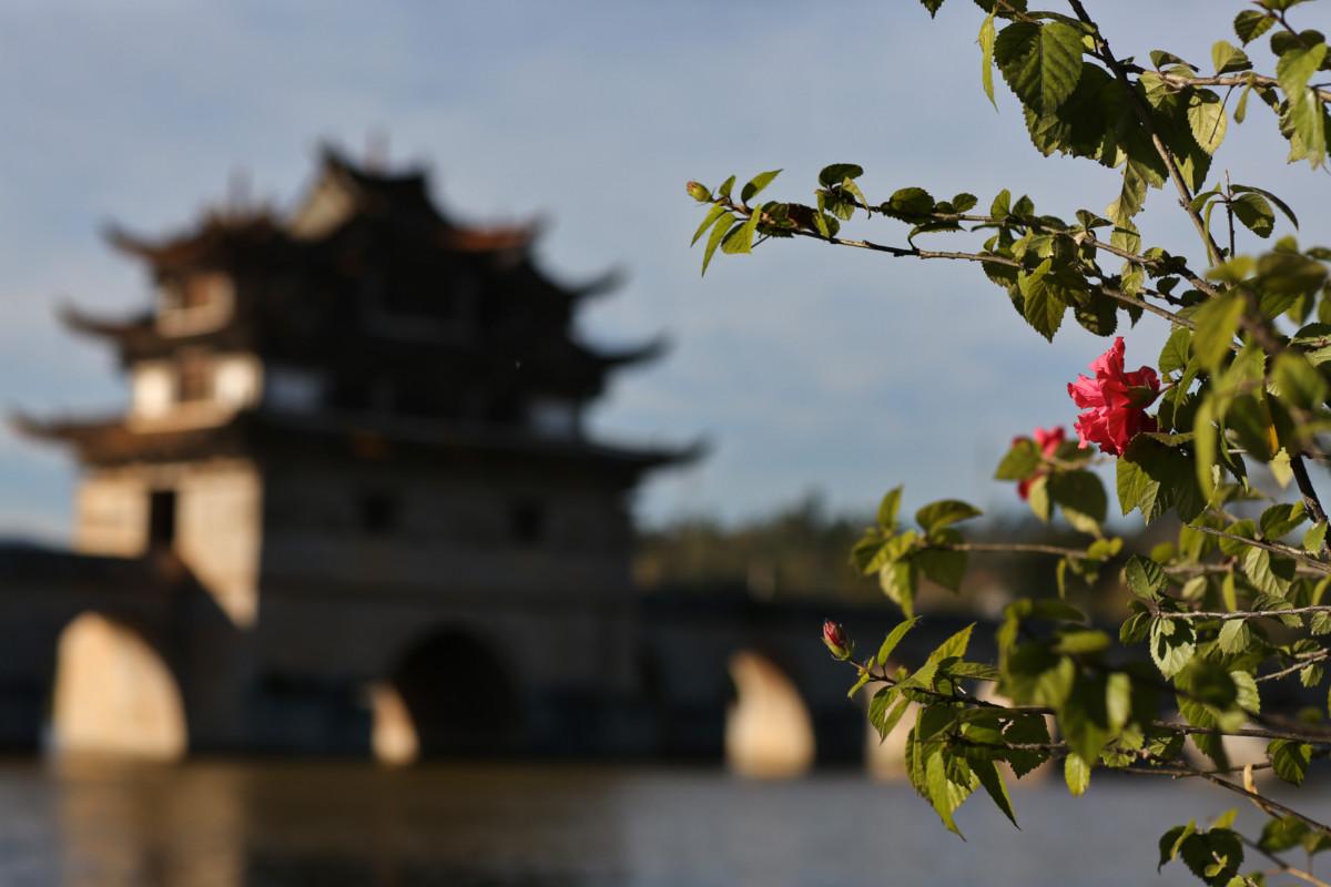 大冰最新力作，智能生活新紀元——科技與生活的完美融合