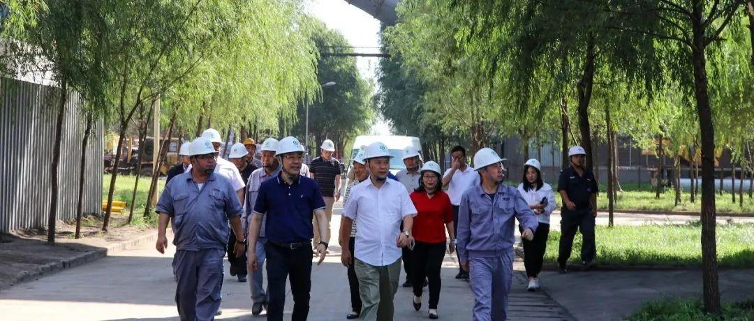 最新鍋爐工招聘信息揭秘，鍋爐工的溫馨日常故事探索