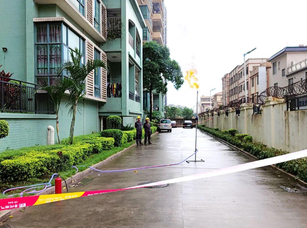 中山東鳳佛奧最新動(dòng)態(tài)，自然美景的探索之旅，尋找內心平和與寧靜