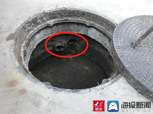 福建臺幫幫團最新一期揭秘，小巷深處的隱藏美食瑰寶