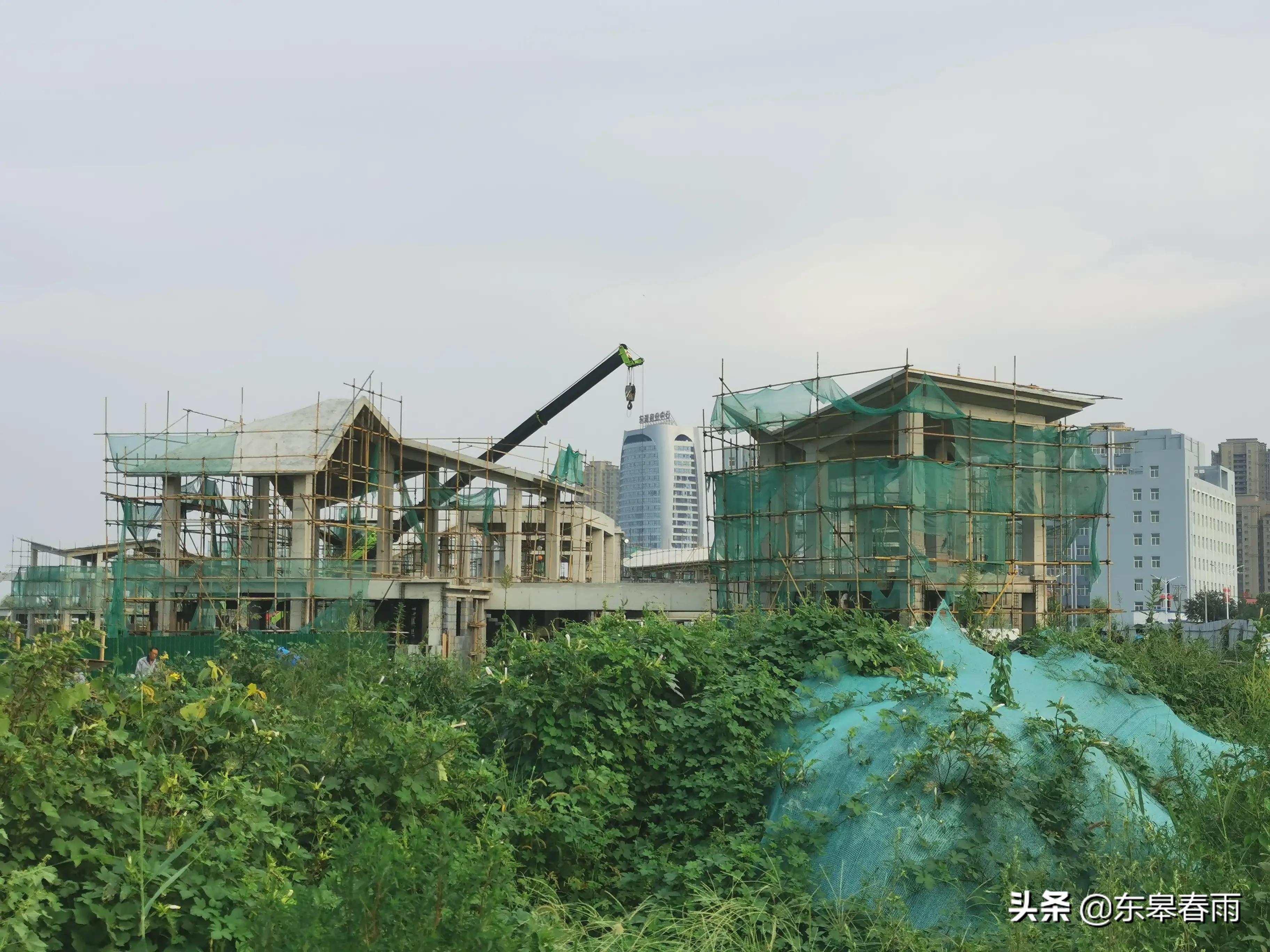 保定東湖一號最新動(dòng)態(tài)與歡樂(lè )日常體驗