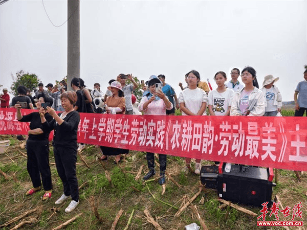 桃源木塘垸鄉新動(dòng)態(tài)，趣事連連，真摯友情綻放鄉間