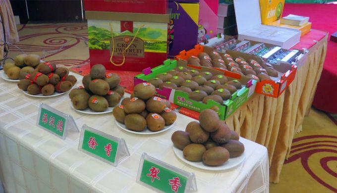 嘉興對接上海最新進(jìn)展，城市崛起中的自信與成就感展現新面貌