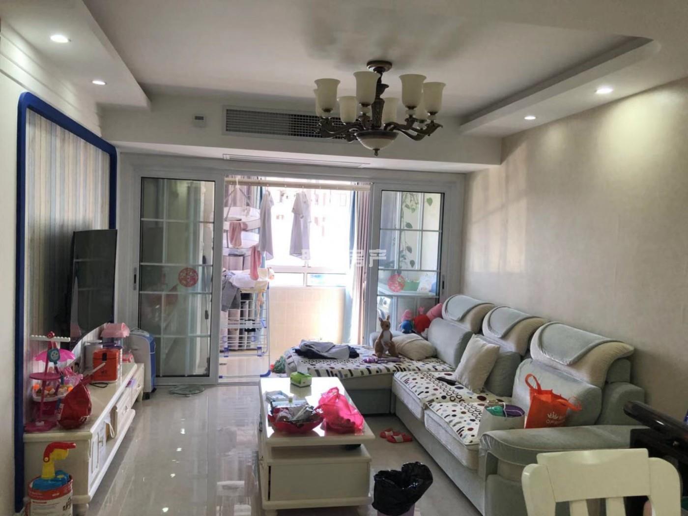 東坡最新個(gè)人二手房網(wǎng)，市場(chǎng)現象下的多元觀(guān)點(diǎn)深度探討