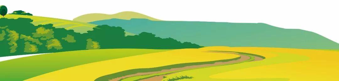 藍田縣未來(lái)藍圖，最新發(fā)展規劃揭秘