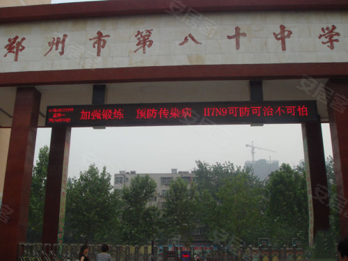 中原區九龍城最新動(dòng)態(tài)深度解析，最新進(jìn)展與觀(guān)點(diǎn)闡述