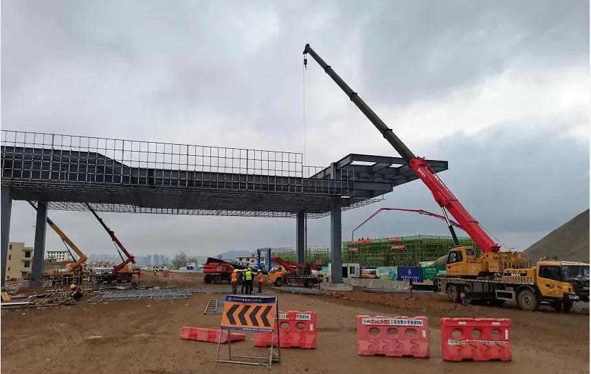 深度解析與探討，最新元龍劇情分析