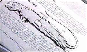 美國填尸最新進(jìn)展，高科技重塑生活，未來(lái)科技魅力體驗