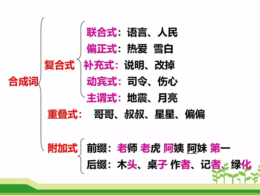 最新合成詞，語(yǔ)言發(fā)展的微觀(guān)視角探索