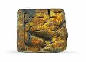 余厚蜀最新動(dòng)態(tài)，科技前沿探索與行業(yè)創(chuàng  )新引領(lǐng)