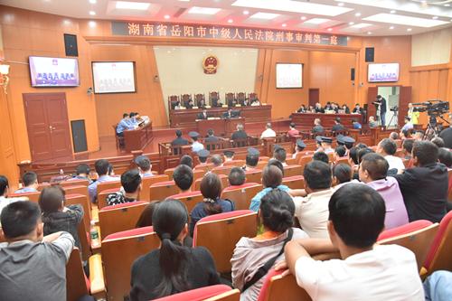 聶祖峰最新探索之旅，自然美景中的心靈尋覓與平和之境