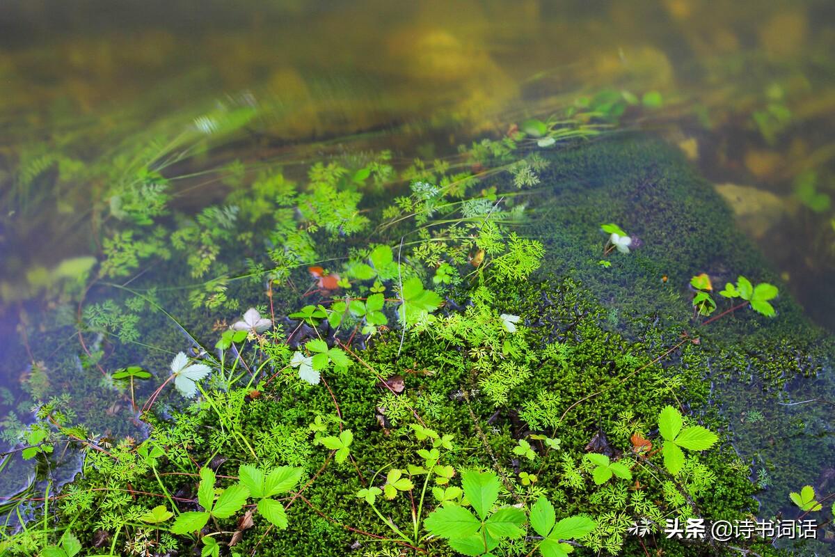 南山高樓崛起，背景、發(fā)展與時(shí)代地位全景解析