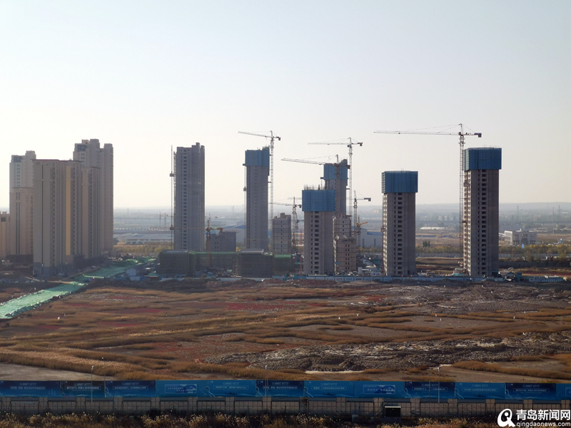 青島最新項目啟航新征程，自信成就夢(mèng)想之路