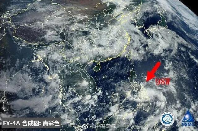 臺風(fēng)鸚鵡的最新動(dòng)態(tài)，逆風(fēng)翱翔的力量與學(xué)習魅力