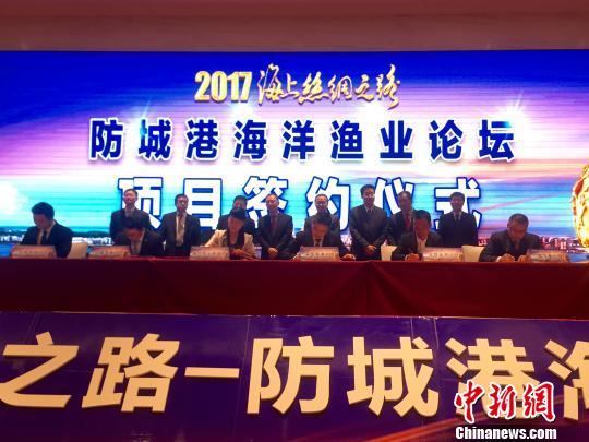 防誠港最新,防誠港的最新發(fā)展，機遇與挑戰并存