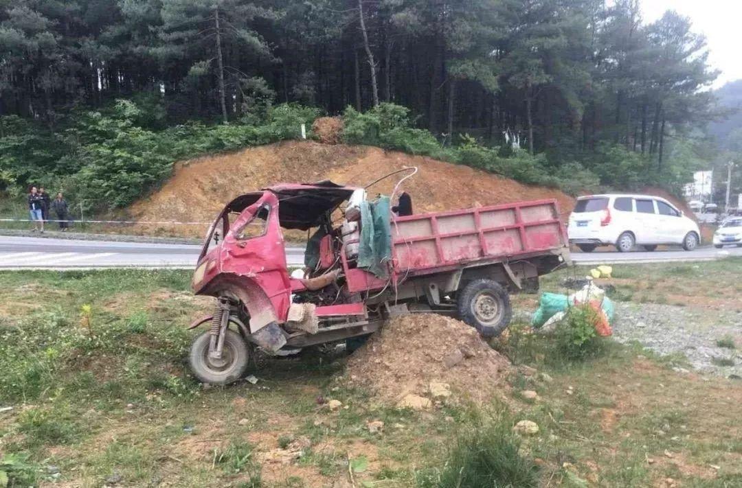 平山事故背后的溫馨故事，友情、愛(ài)與陪伴的奇遇