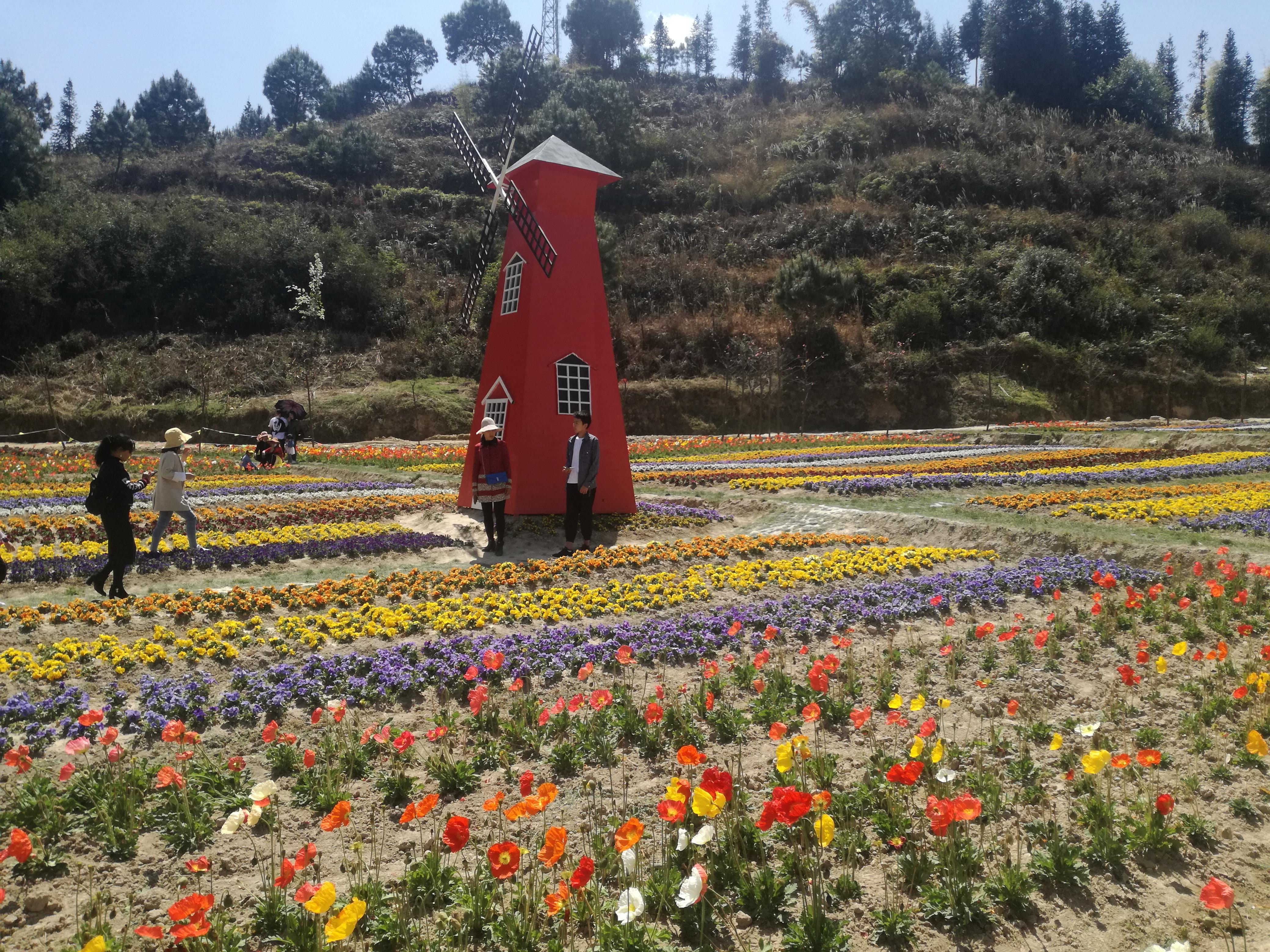 臨滄市最新探索，自然美景之旅，尋找內心平和的旅程