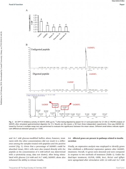 糖肽最新文獻，自然之旅的心靈探尋之旅，尋找內心的寧靜