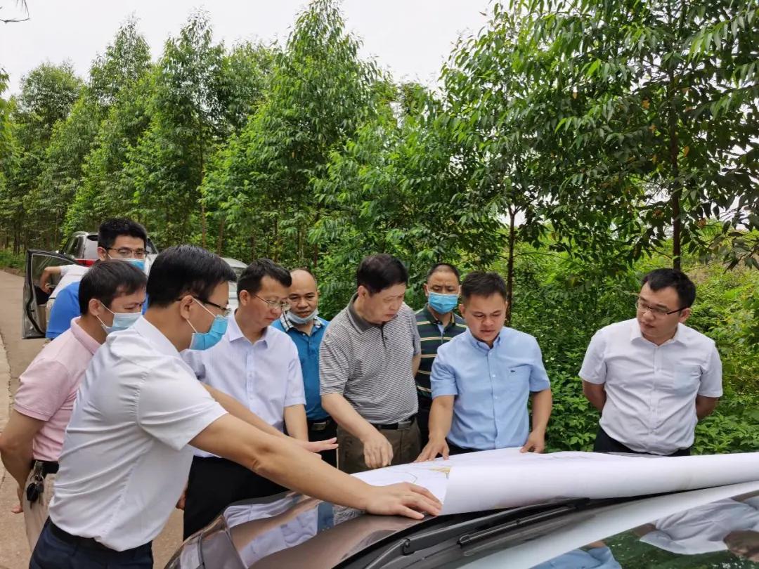 南寧龍象谷最新資訊，游玩指南與技能學(xué)習步驟全解析