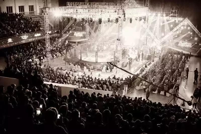 武林籠中對最新一期，自然美景中的對決與內心平靜之旅