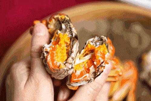 ??陽(yáng)澄湖螃蟹上市季節情報，吃貨必知的秋季美味盛宴！??