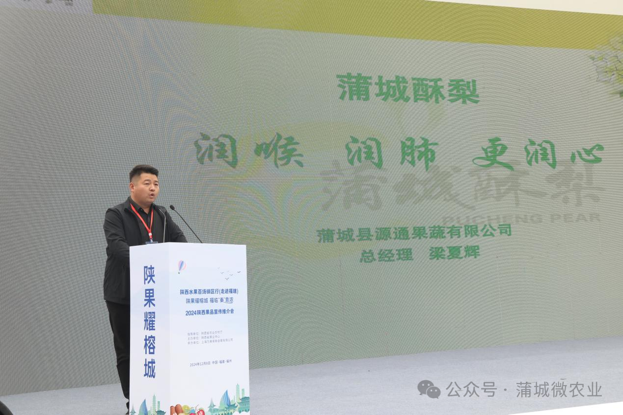 梨城資訊速遞，探索梨城新動(dòng)態(tài)與發(fā)展趨勢